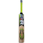 PR Opener Kashmir Willow Cricket Bat (SH)